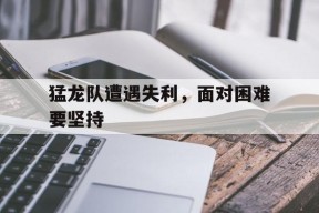 易游体育赛事中心-猛龙队遭遇失利，面对困难要坚持(猛龙队球迷)