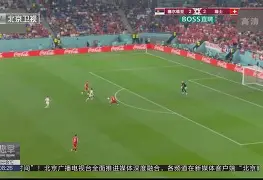 瑞士主场大胜保加利亚，积分列小组第二